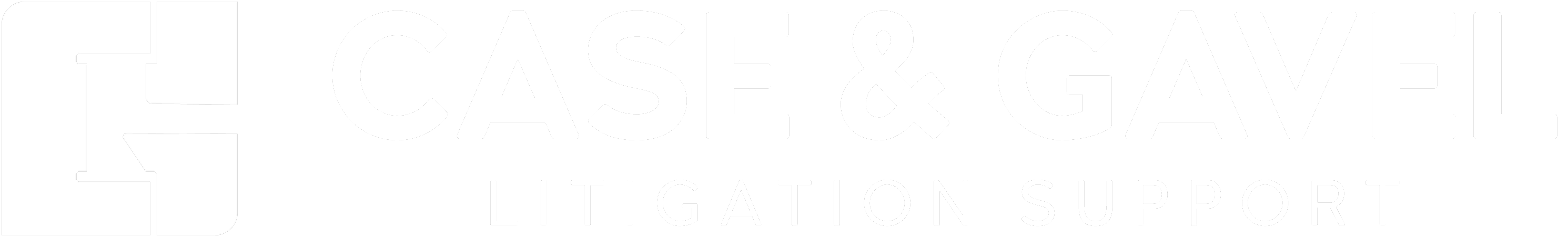 Case & Gavel · Litigation Support